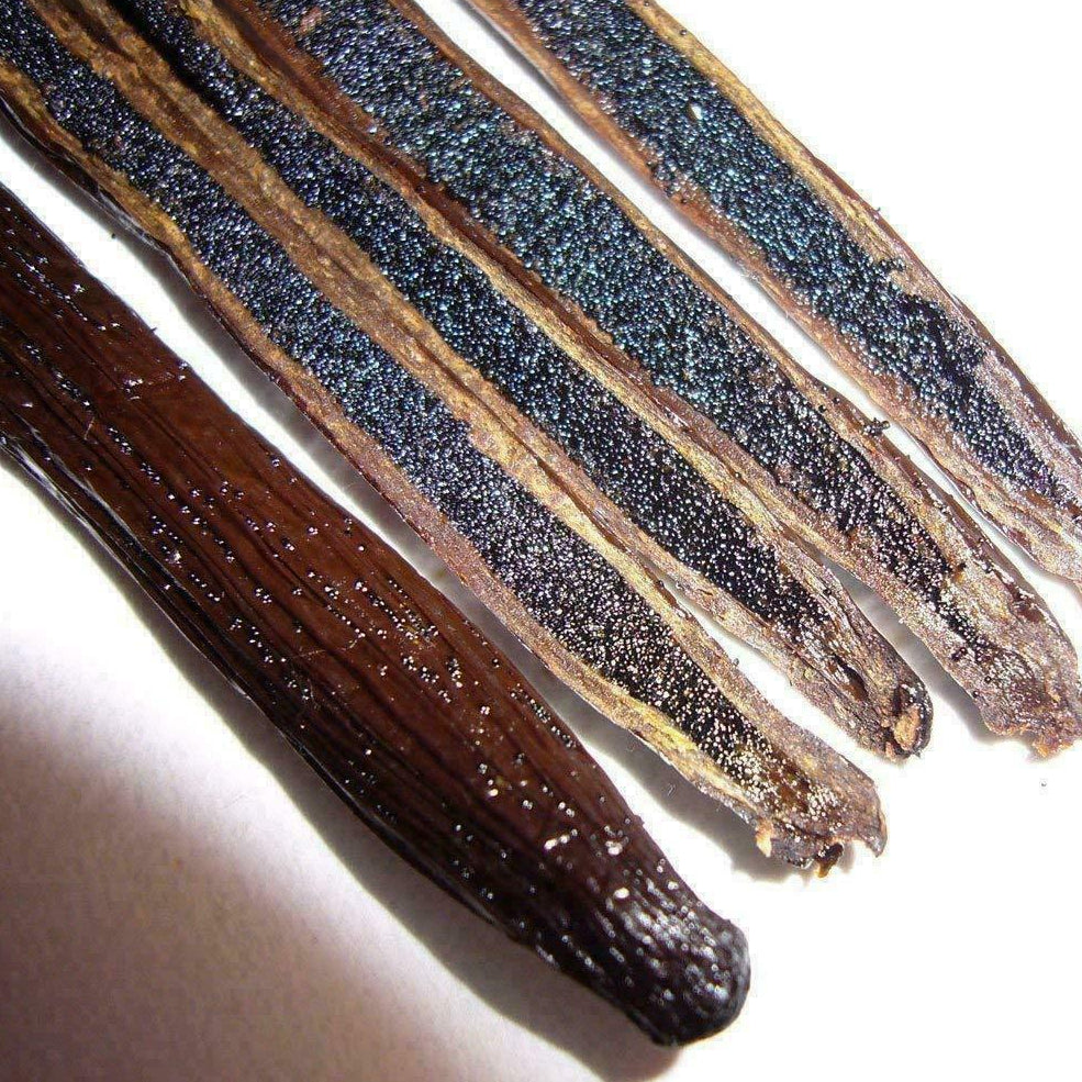 Grade A Vanilla Beans (Sulawesi) - Origin Vanilla